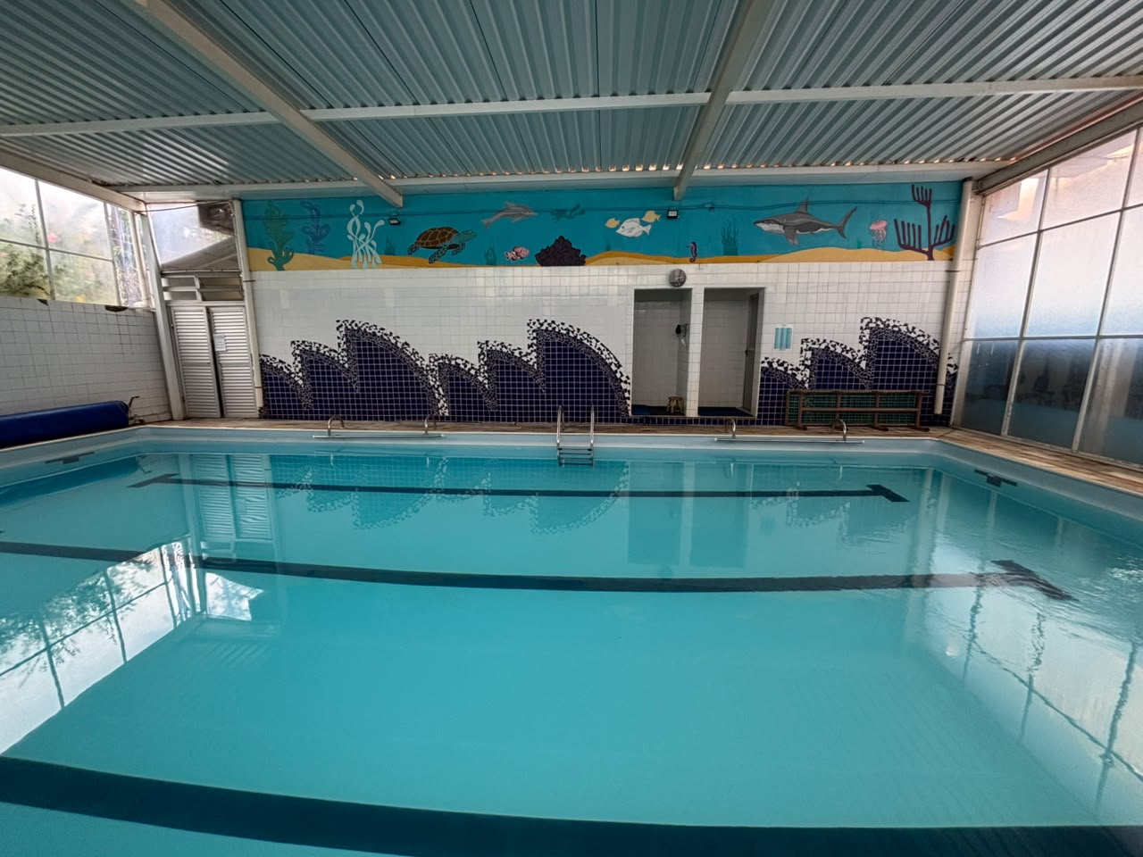 Piscina com painel decorativo